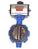 Valve Butterfly 3" Air Operated Model 39040859
